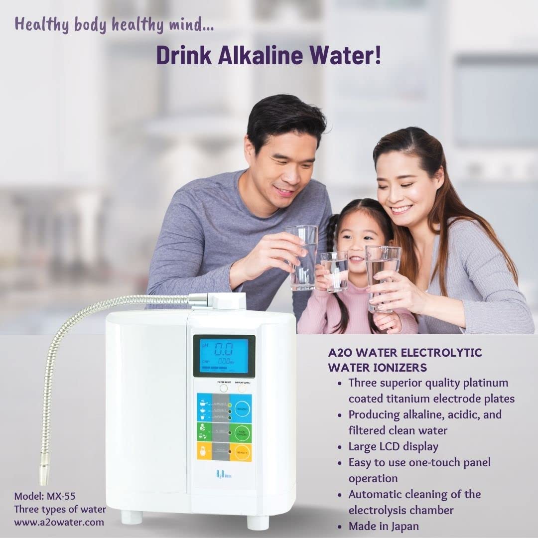 Alkaline Water Ionizer O19742