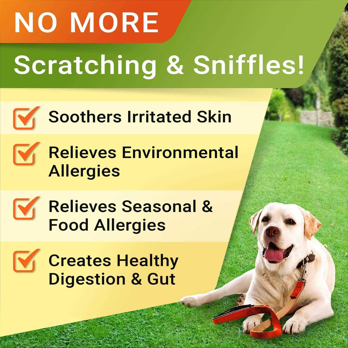 Allergy Relief Immune Chews T25068