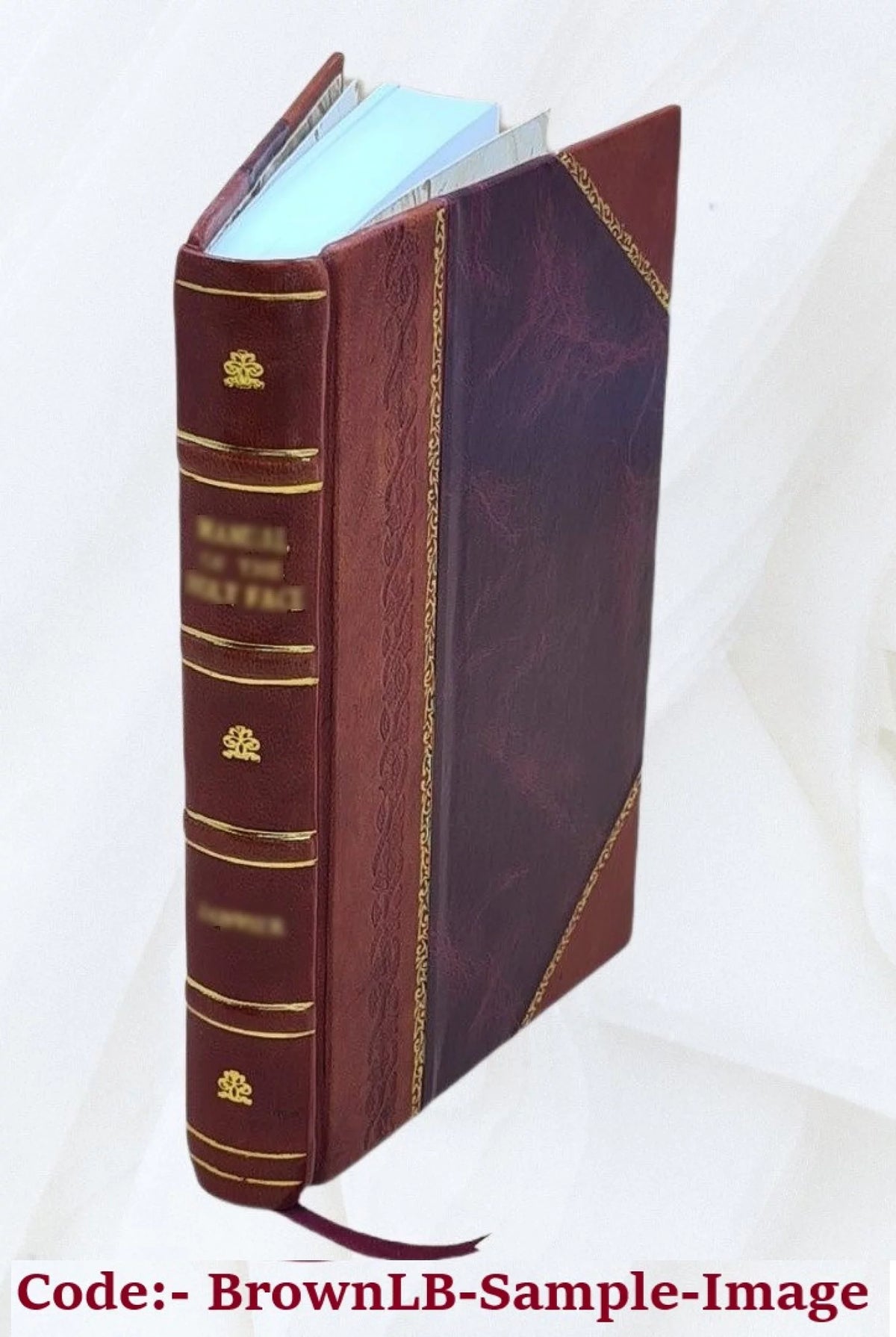 The Hutted Knoll Tale Leather Bound J51142