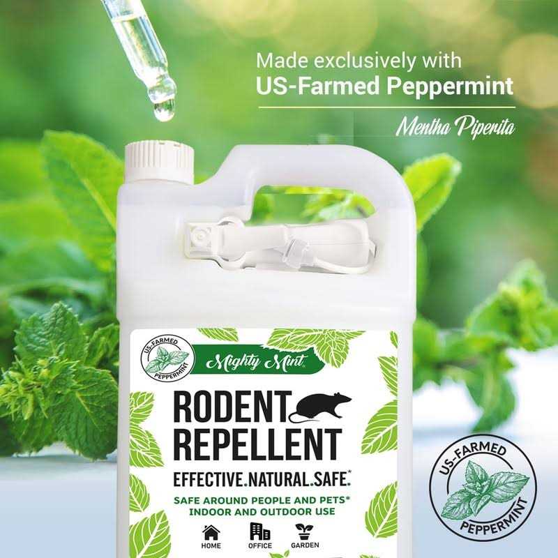Natural Peppermint Oil Spray N413336