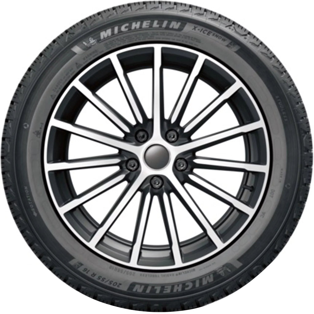 Winter Passenger Tire M110019