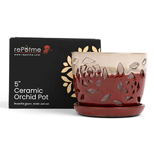 5 inch Ceramic Orchid Pot with Holes S867