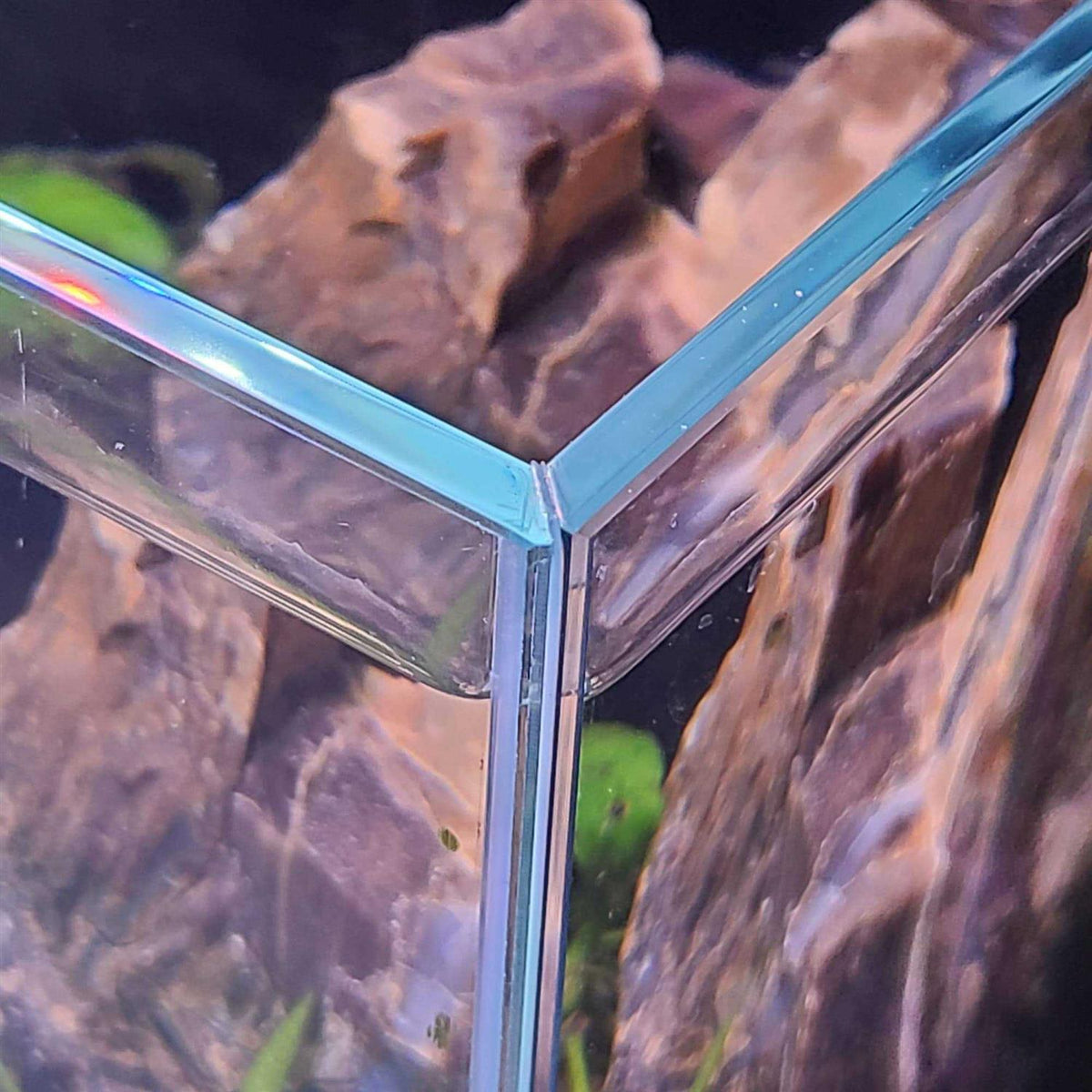 Low Iron Glass Aquarium with Filter L822