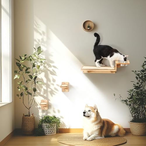 Cat Wall Shelves 3 In 1 Rubber Wood Y19699