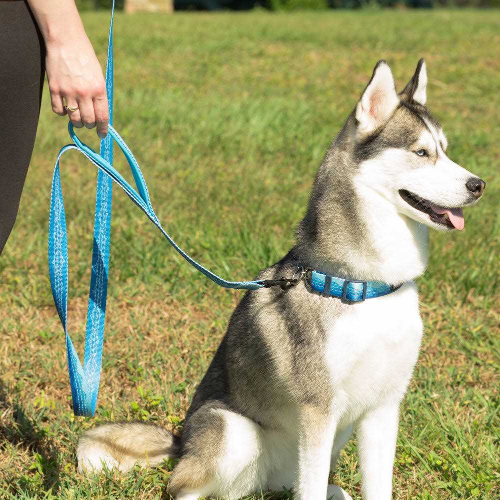 6ft Dog Leash Padded Handle M5191