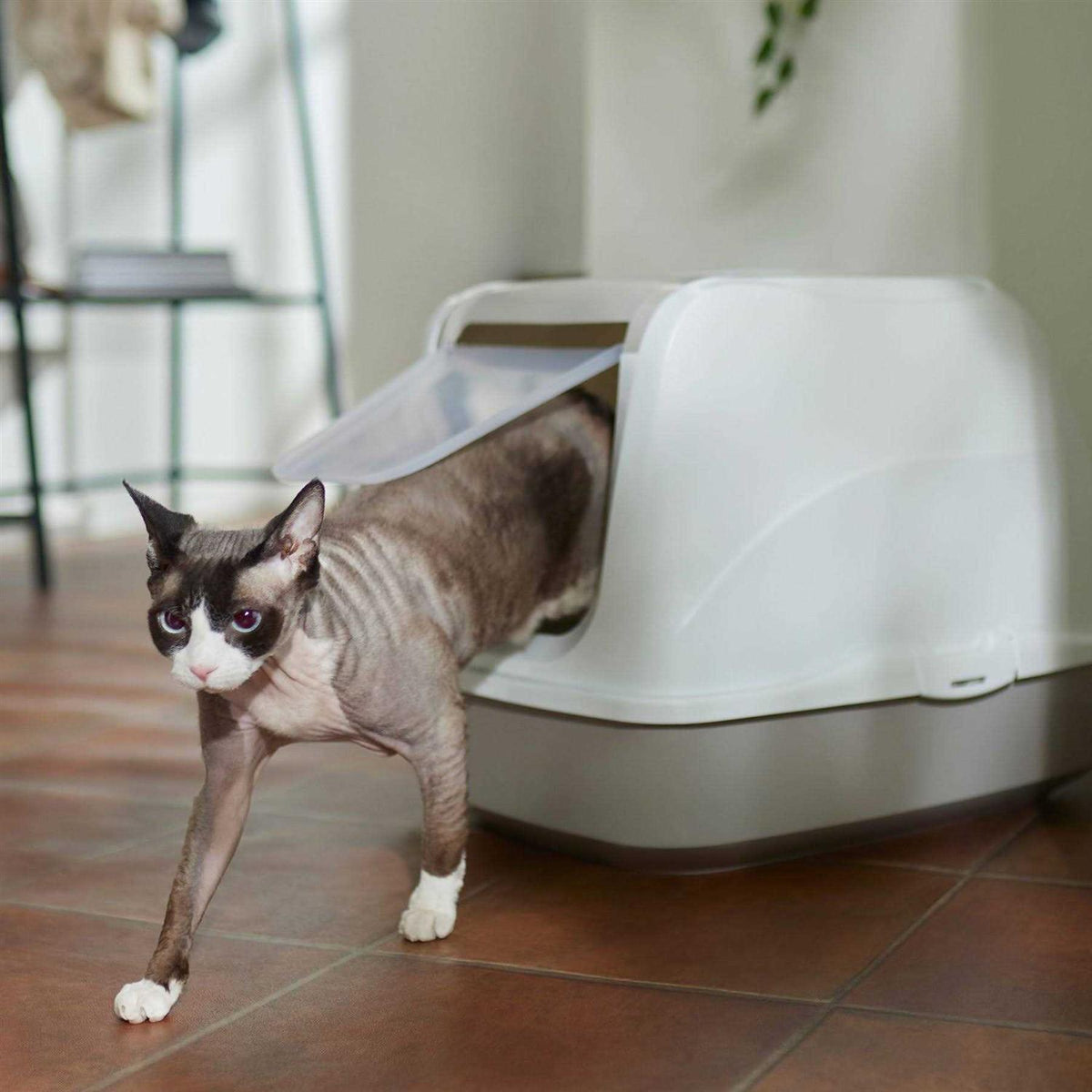 Flip Top Hooded Cat Litter Box E55524