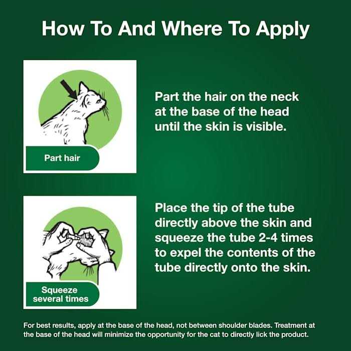 Cat Flea Prevention & Treatment U8251