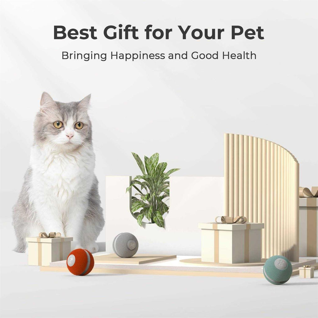 Interactive Cat Toy Ball R8165