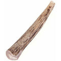 Deer Antler Dog Chew D620