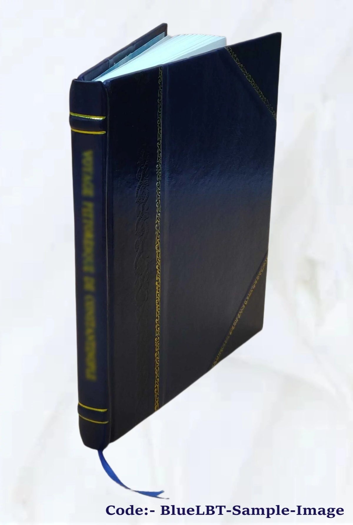 Christianity Faith and Practice Leather Bound W4267