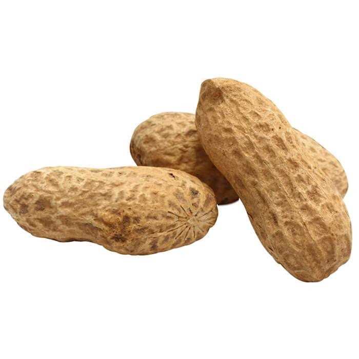 Unsalted In-Shell Whole Peanuts Bird Food O71655