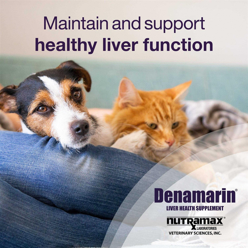 Denamarin for Cats and Small Dogs B14686