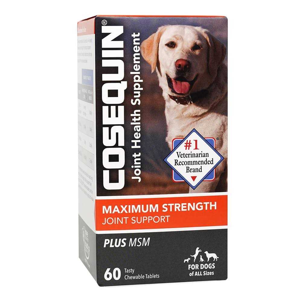 Maximum Strength Joint Support Plus MSM G252533