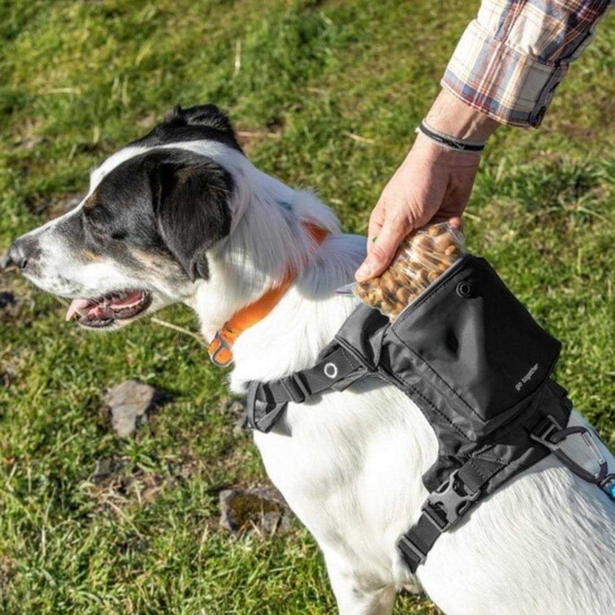 Dog Harness P92182