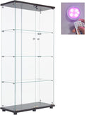 Black Two Door Glass Display Cabinet with 4 Shelves F31819