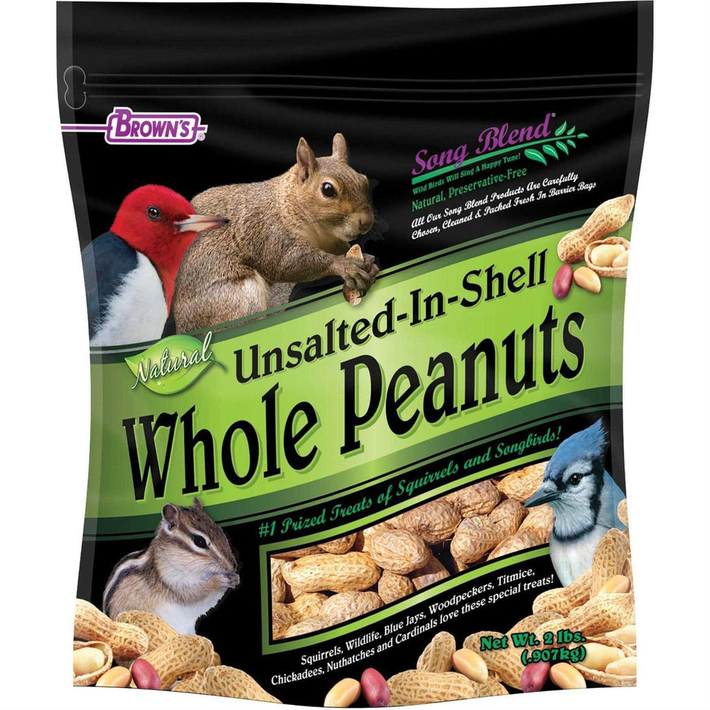 Unsalted In-Shell Whole Peanuts Bird Food O71655