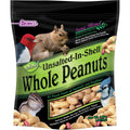 Unsalted In-Shell Whole Peanuts Bird Food O71655