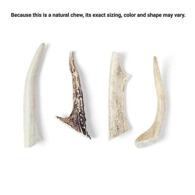 Deer Antler Dog Chew D620