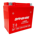 AGM Battery I1203