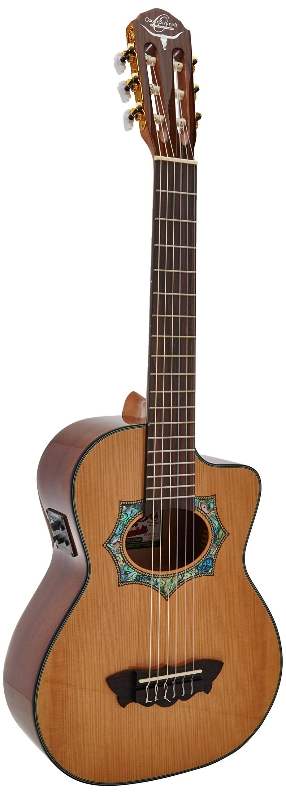 Acoustic Electric Guitar V865