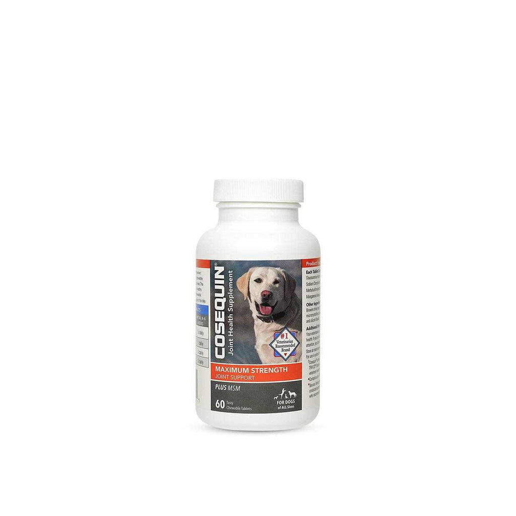 Maximum Strength Joint Support Plus MSM G252533