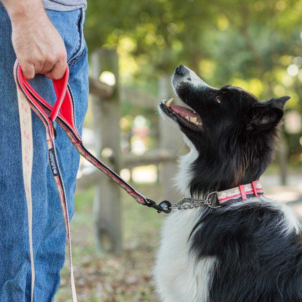 6ft Dog Leash Padded Handle M5191
