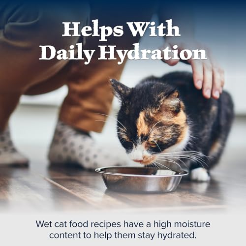 Salmon Paté Wet Cat Food, 3-oz. Cans, 24 Count J75238