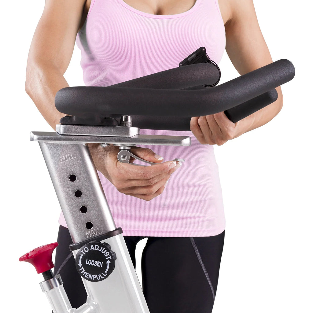 Indoor Cycling Exercise Bike with 48.5 lb Flywheel I846