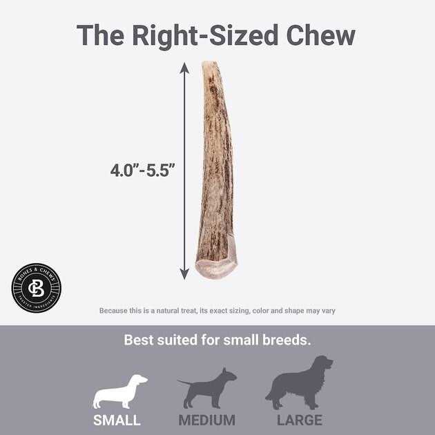Deer Antler Dog Chew D620