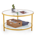 Glass Coffee Table with Storage Shelf Metal Frame Gold I98952
