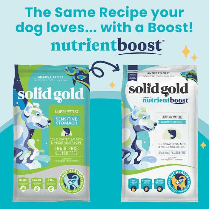 Dry Dog Food L67623