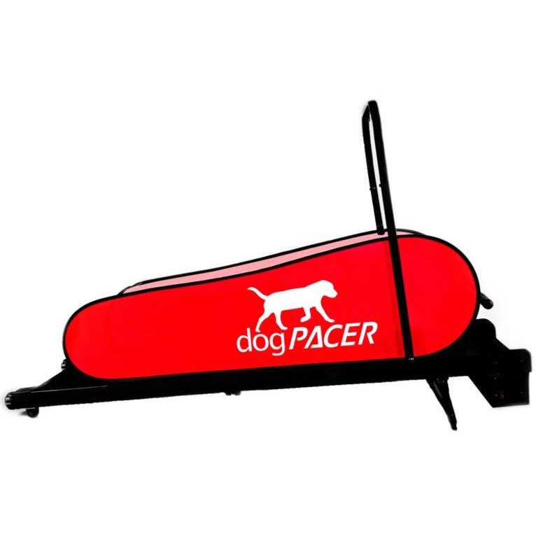 Dog Treadmill D754