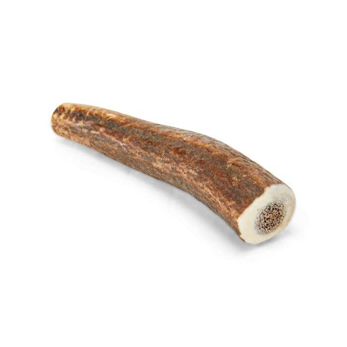 Whole Elk Antler Dog Chew Z603