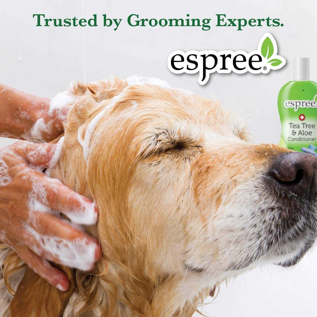 Silky Show Shampoo L85419