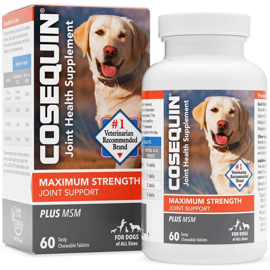 Maximum Strength Joint Support Plus MSM G252533