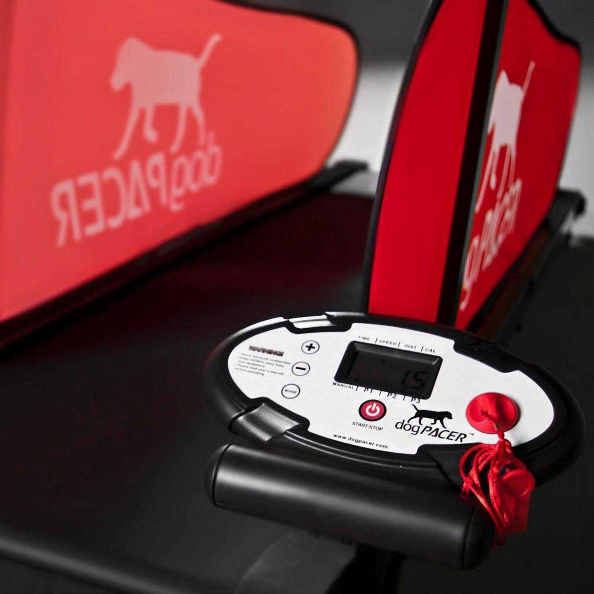 Dog Treadmill D754
