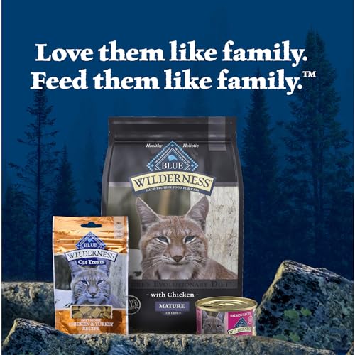 Salmon Paté Wet Cat Food, 3-oz. Cans, 24 Count J75238