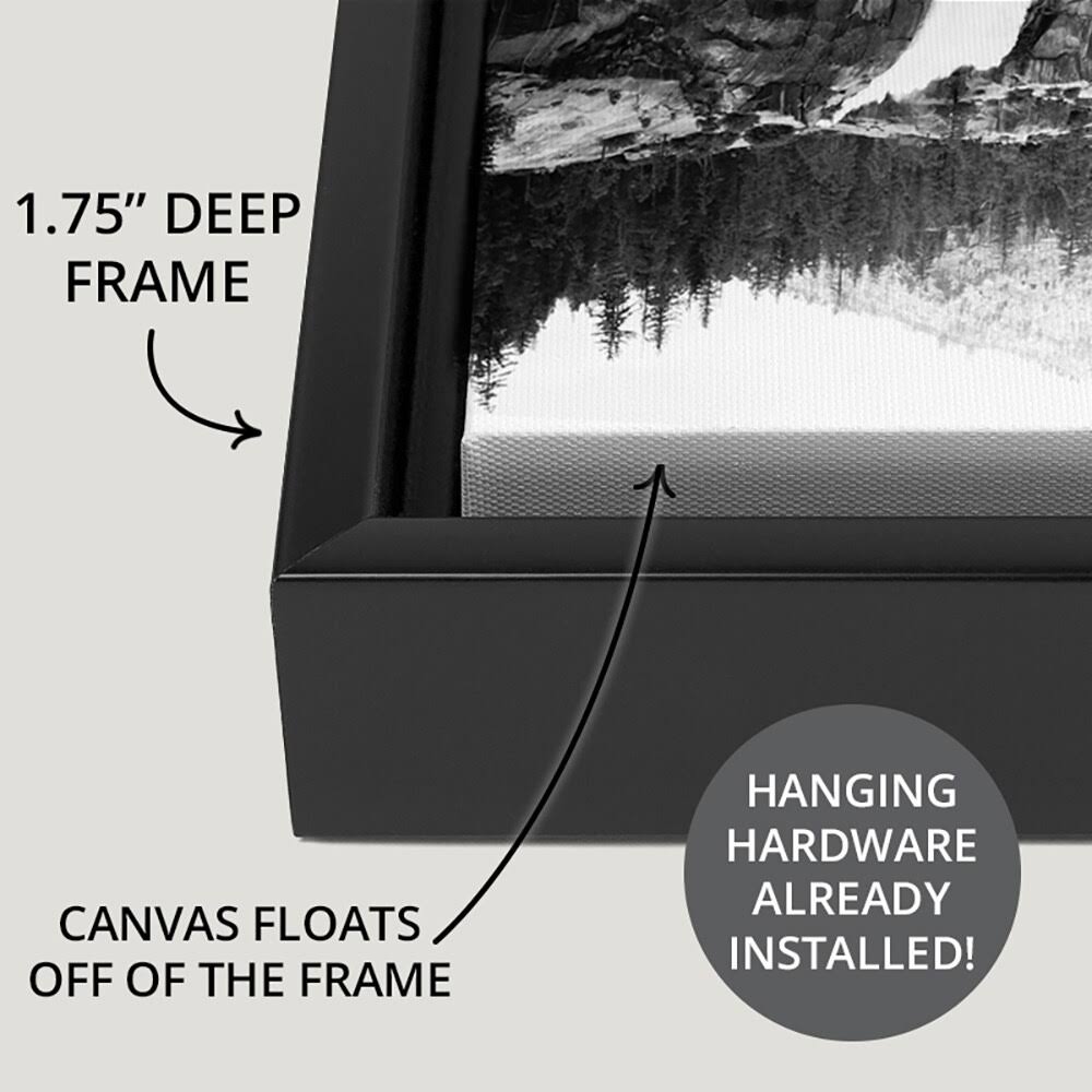 Black Float Frame Canvas Art 30 x 20 A3211