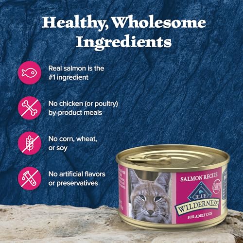 Salmon Paté Wet Cat Food, 3-oz. Cans, 24 Count J75238