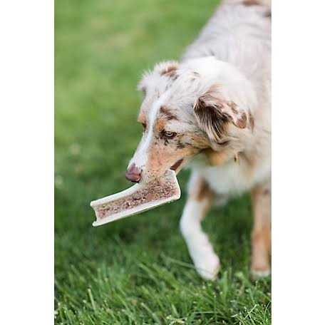 Split Elk Antlers for Dogs F647