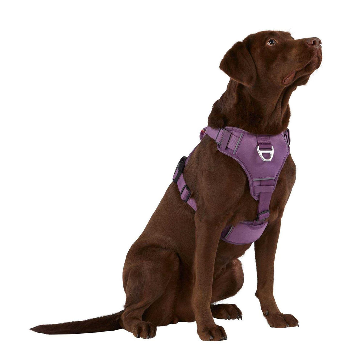 Neoprene Dog Harness E846242
