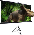 100 Inch Outdoor Projector Screen with Stand S95220