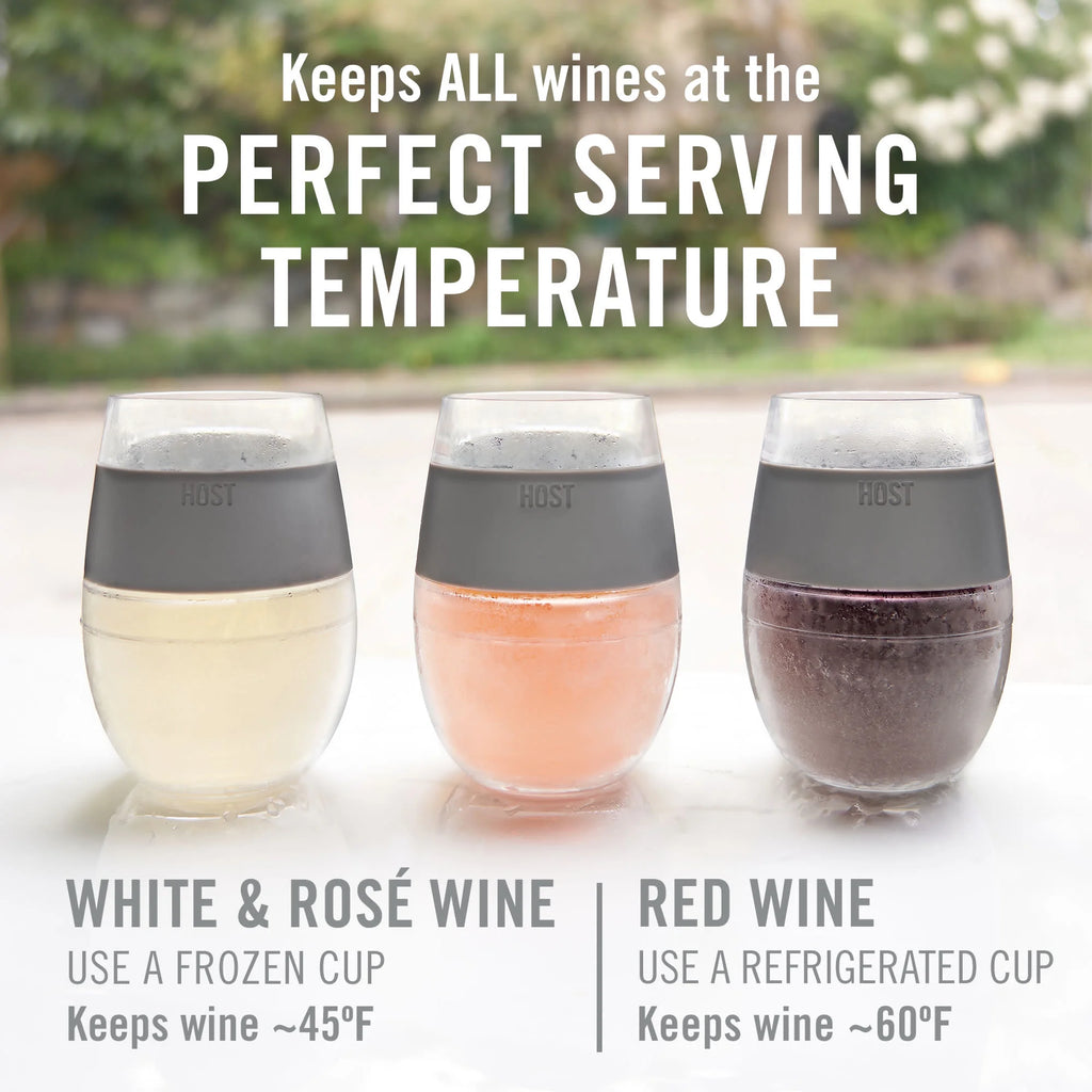 Mint Set of 2 Plastic Double Wall Insulated Wine Tumbler V862034
