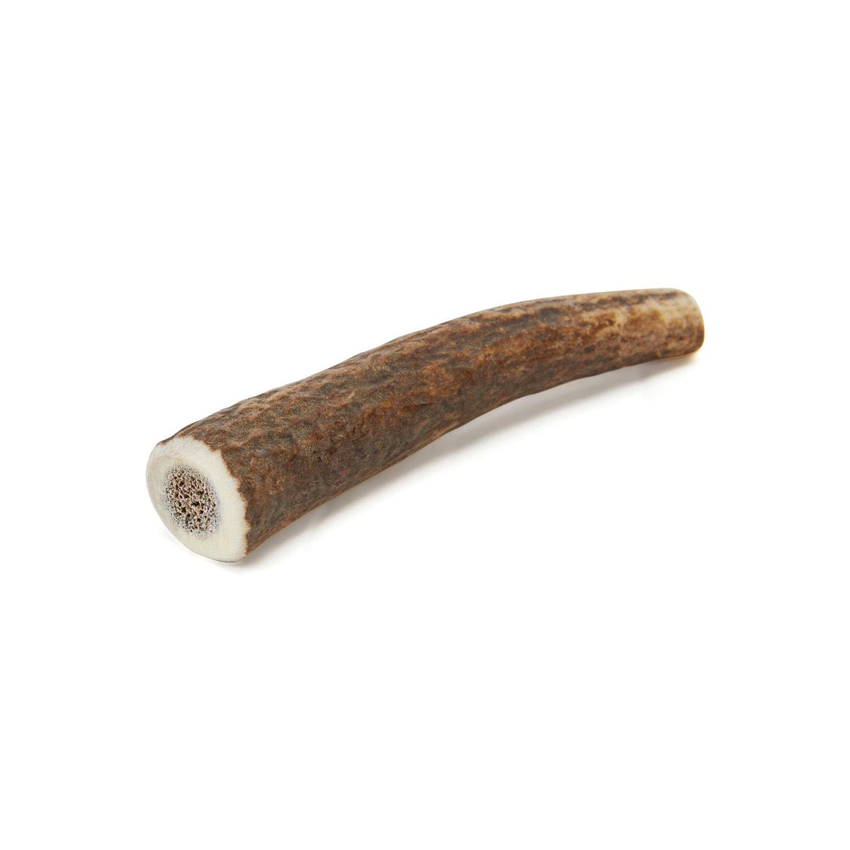 Whole Elk Antler Dog Chew Z603
