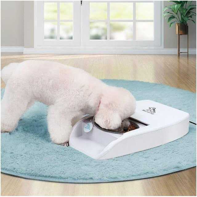 Automatic Microchip Pet Feeder C740082