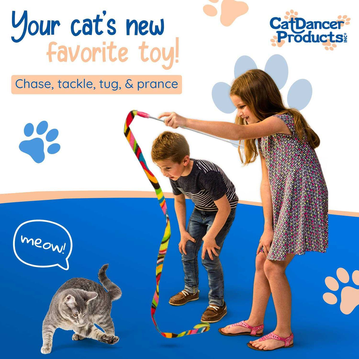 Cat Toy K856
