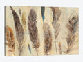 Feather Study Canvas Wall Decor Prints F13063