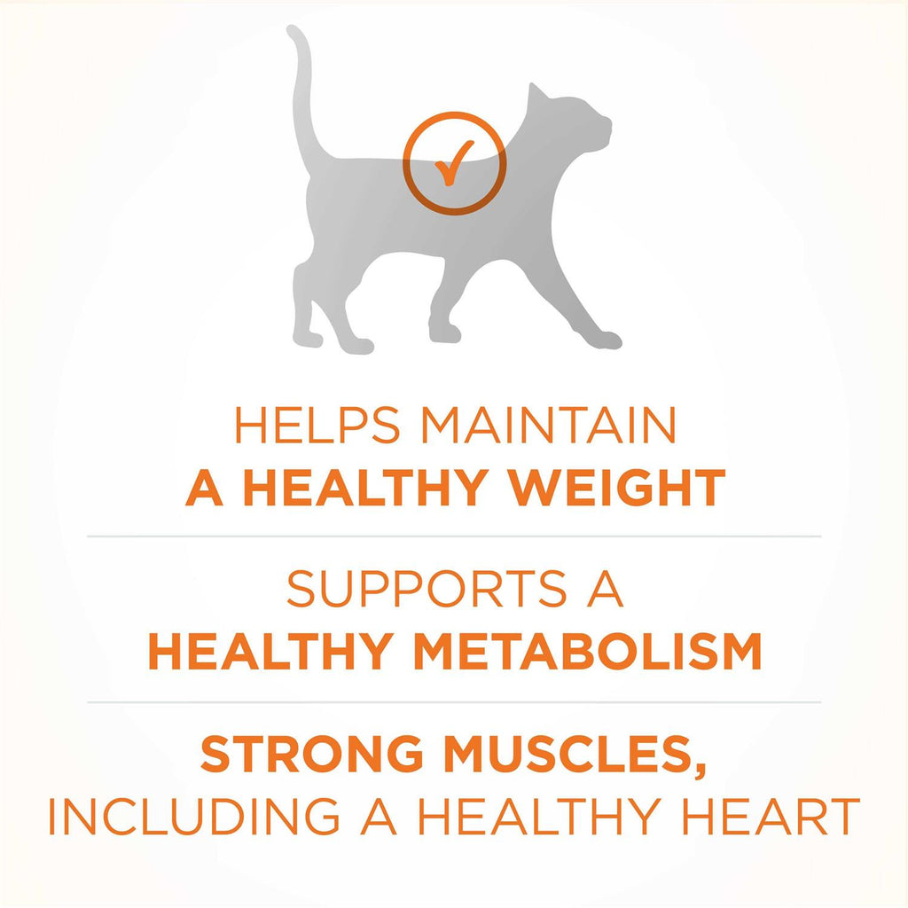 Dry Cat Food B279