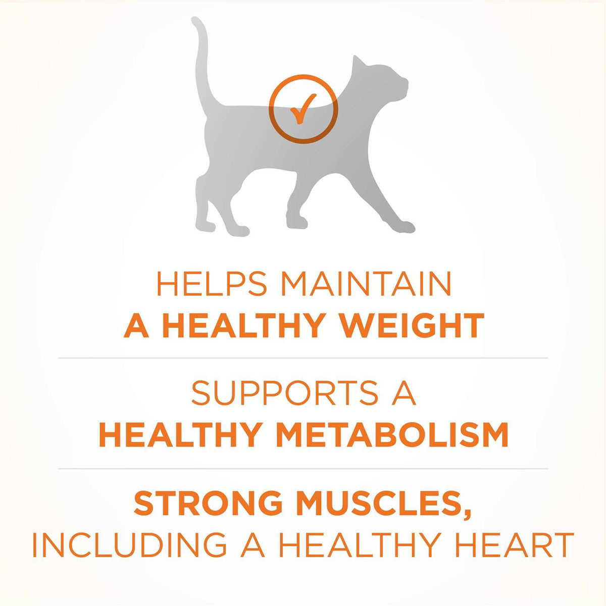 Dry Cat Food B279