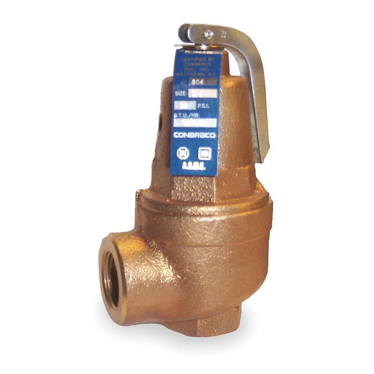 Safety Relief Valve, 3/4in, 100 psi, Bronze B25306